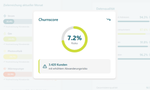 Frühwarnsignale und Churnscore durch KMH und databricks